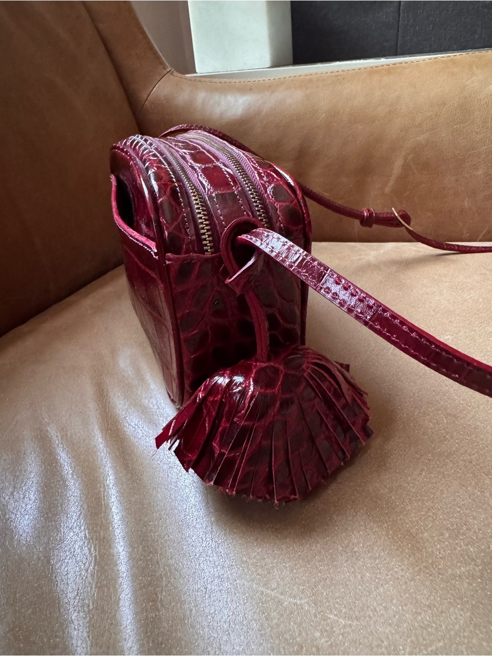 Zara Genuine Leather Croc-Embossed Crossbody Camera Bag tassel bag Deep Red NWT
